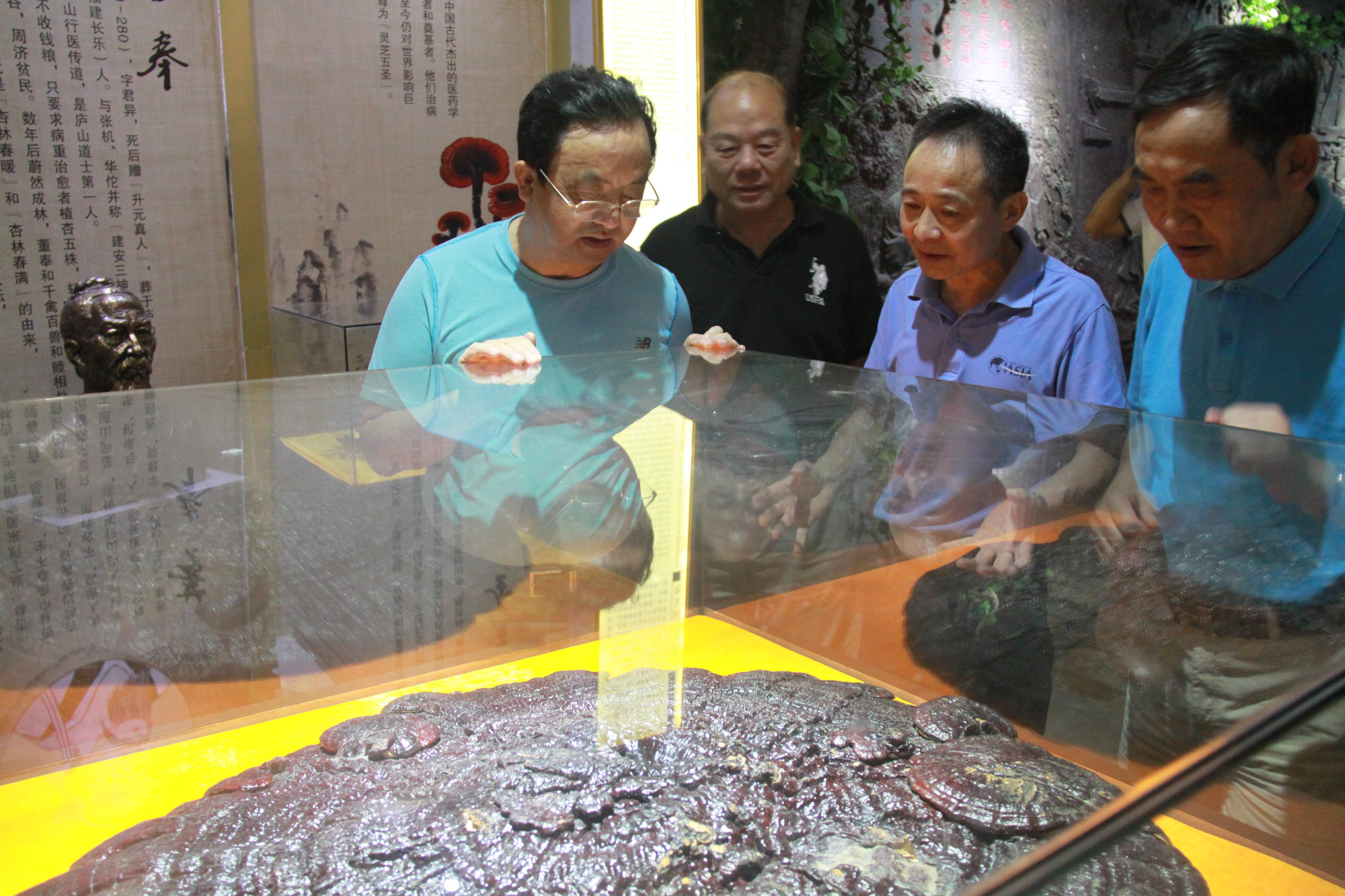 仙客來孢子粉|仙客來孢子油|仙客來靈芝|仙客來破壁孢子粉|江西老字號