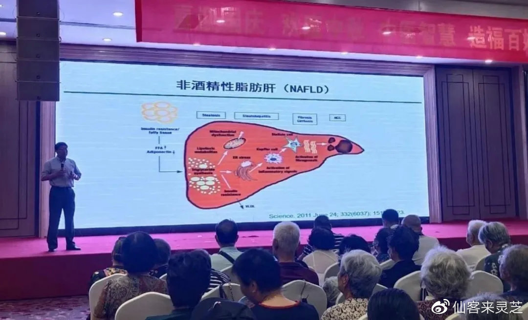 杭州亞運會官方靈芝產品供應商|杭州亞運會官方供應商|中國靈芝十大品牌|仙客來靈芝|仙客來靈芝破壁孢子粉|仙客來孢子油|仙客來靈芝飲片|仙客來破壁孢子粉|靈芝孢子油|孢子粉|靈芝破壁孢子粉|靈芝|中華老字號