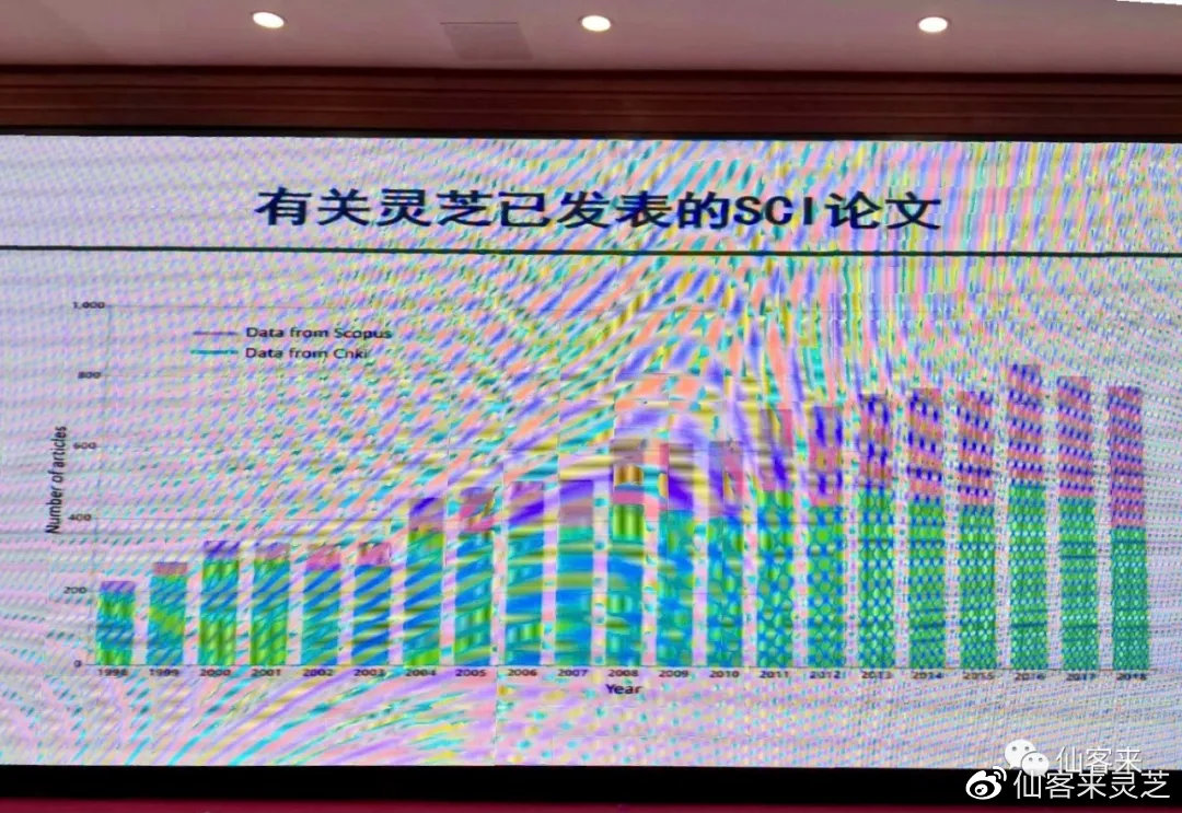 杭州亞運會官方靈芝產品供應商|杭州亞運會官方供應商|中國靈芝十大品牌|仙客來靈芝|仙客來靈芝破壁孢子粉|仙客來孢子油|仙客來靈芝飲片|仙客來破壁孢子粉|靈芝孢子油|孢子粉|靈芝破壁孢子粉|靈芝|中華老字號