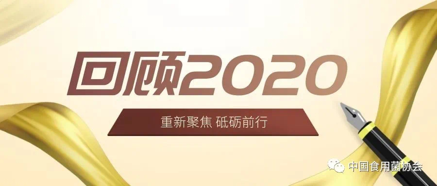 杭州亞運會官方靈芝產品供應商|杭州亞運會官方供應商|中國靈芝十大品牌|仙客來靈芝|仙客來靈芝破壁孢子粉|仙客來孢子油|仙客來靈芝飲片|仙客來破壁孢子粉|靈芝孢子油|孢子粉|靈芝破壁孢子粉|靈芝|中華老字號